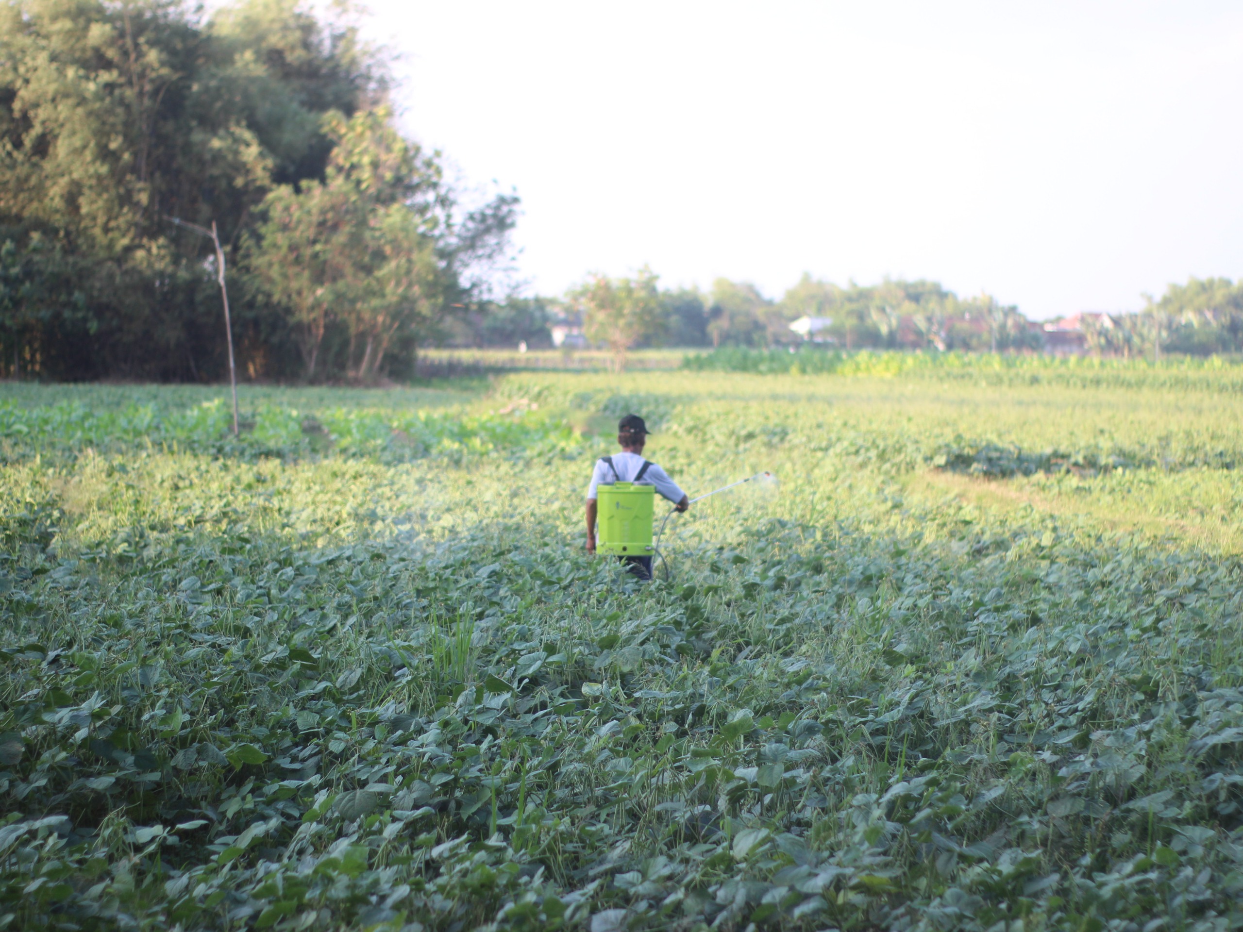 Video profile desa sumberoto